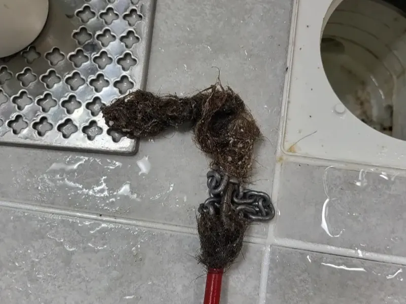 해운대구 바닥 배수구에서 끌어낸 머리카락 뭉치